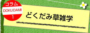 どくだみ草雑学