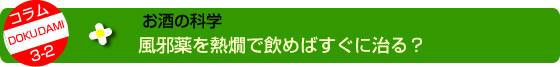 風邪薬を熱燗で飲めばすぐに治る?