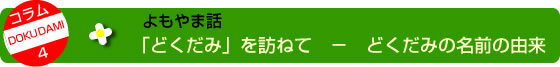 「どくだみ」を訪ねて - どくだみの名前の由来